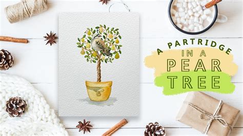 are pear tree cards good quality